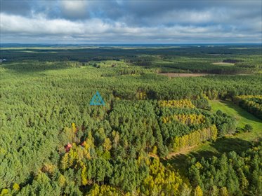 działka na sprzedaż 8000m2 działka Krzyż