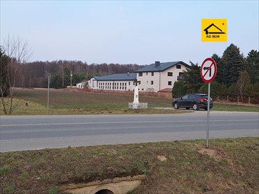działka na sprzedaż 9199m2 działka Ryki, Ryki