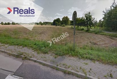 Działka rolna na sprzedaż Dąbrówka 13 800m2 Foto 3