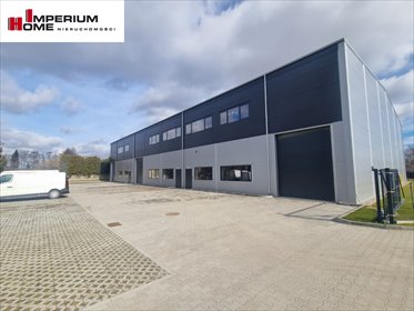 lokal użytkowy na wynajem 1900m2 lokal użytkowy Miszewko
