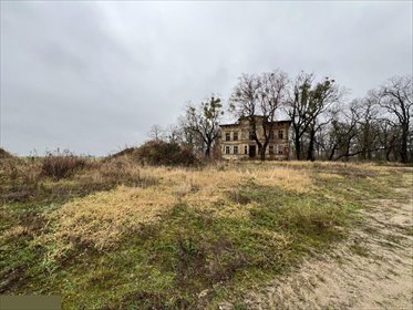 Działka 3 ha z pałacem i parkiem (możliwość powiększenia) działka Świecie
