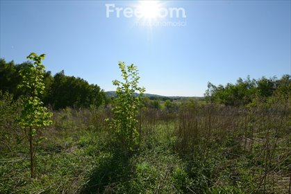Działka budowlana 1031 m² w malowniczej Marcyporębie działka Marcyporęba