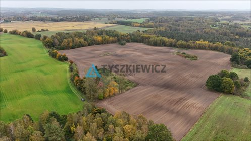 działka na sprzedaż 86943m2 działka Borowina, Wiejska