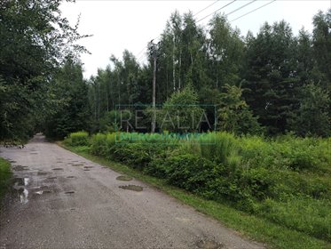 działka na sprzedaż 6000m2 działka Zalesie