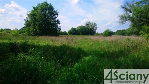 działka na sprzedaż 18960m2 działka Grodzisk Mazowiecki
