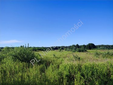 Zapraszam do zakupu działki 28 056 m² pod Warszawą z możliwością budowy 39 domów działka Wolica