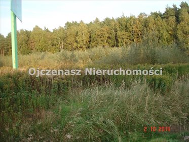 działka na sprzedaż 11752m2 działka Białe Błota