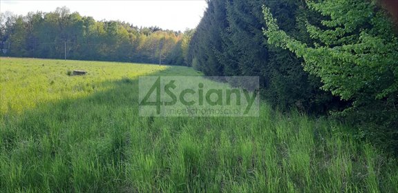 Zapraszam do zakupu działki 2190 m² w Ruscu, media, spokojna okolica działka Rusiec