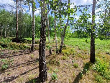 Działki budowlane w Kędzierówce, 973 m2, las, media działka Kędzierówka