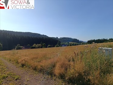 Polecam działki budowlane z widokami, prąd, las, 1600 m² działka Bartnica