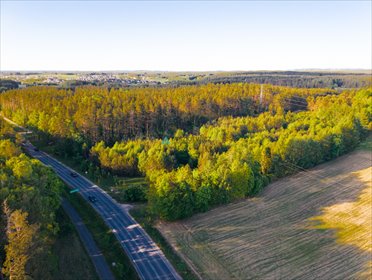 działka na sprzedaż 3000m2 działka Skorzewo