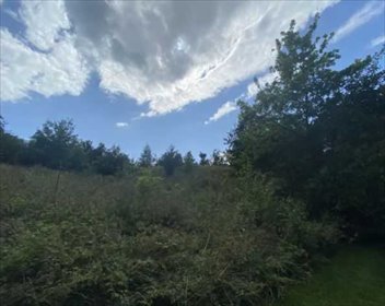 działka na sprzedaż 3200m2 działka Piława Górna