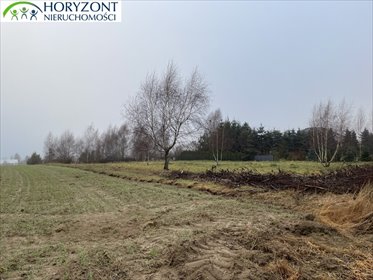 Działka budowlana w Dobrzewinie – spokój i rozwój działka Dobrzewino