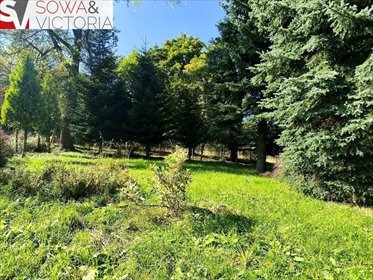 Zapraszam do zakupu działki 8 213 m² w Walimie działka Walim