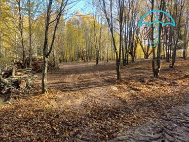 działka na sprzedaż 1199m2 działka Marszewska Kolonia, Czaple