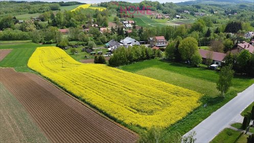 Działka budowlana na sprzedaż Wysoka Strzyżowska 4 300m2 Foto 6