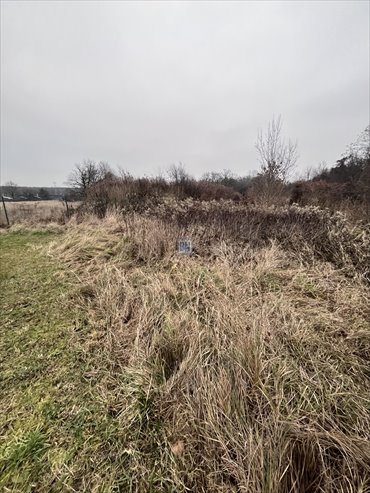 działka na sprzedaż 7900m2 działka Gliwice