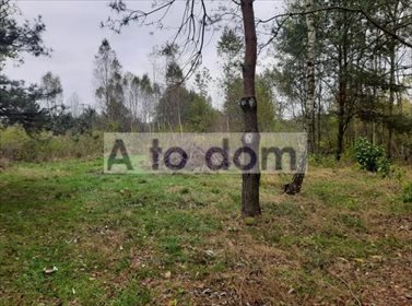 Działka rolna na sprzedaż Międzyleś 15 000m2 Foto 2