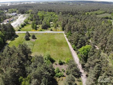 Działka rekreacyjna na sprzedaż Nowy Janów 3 818m2 Foto 1