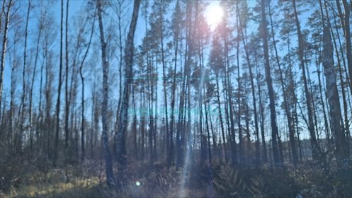 działka na sprzedaż 1000m2 działka Krze Duże