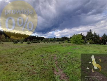 Działka budowlana na sprzedaż Tomisław 5 582m2 Foto 4