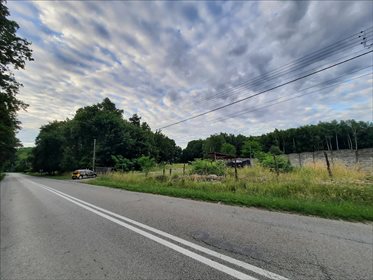 Działka budowlana na sprzedaż Bluszczów, Gorzyce 9 215m2 Foto 2