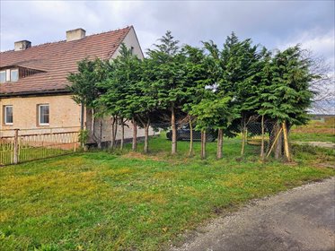 mieszkanie na sprzedaż 58m2 mieszkanie Brzezina Sułowska