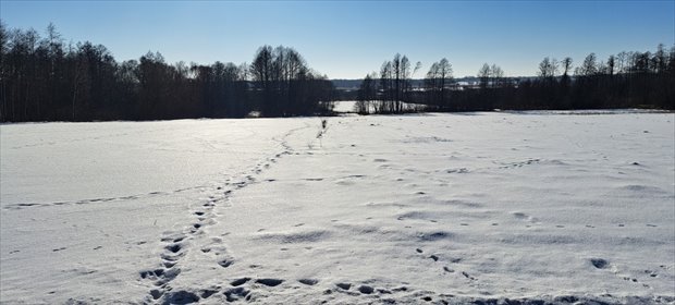 działka na sprzedaż 18400m2 działka Żminne