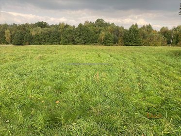 działka na sprzedaż 5000m2 działka Barwałd Górny