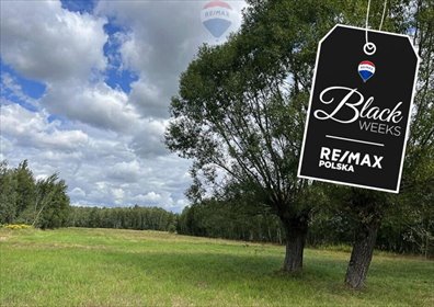 działka na sprzedaż 4000m2 działka Pustelnik, Graniczna