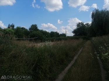 Działka budowlana na sprzedaż Ryki 8 707m2 Foto 7
