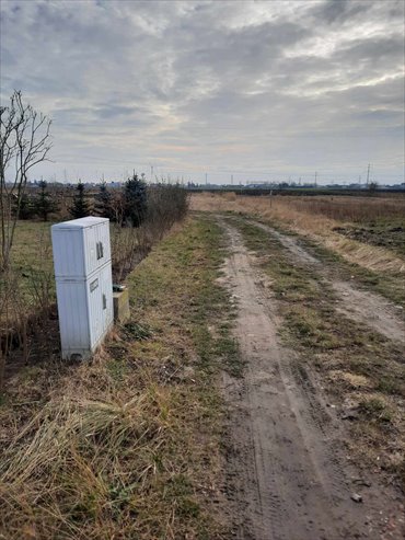 Działka na sprzedaż 3000m2 działka Topolin