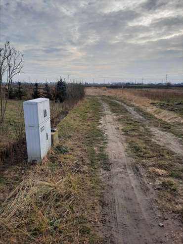 działka na sprzedaż 3000m2 działka Topolin