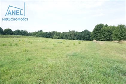 działka na sprzedaż 3260m2 działka Mikołów, Paniowy