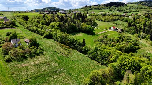 działka na sprzedaż 7900m2 działka Trzetrzewina