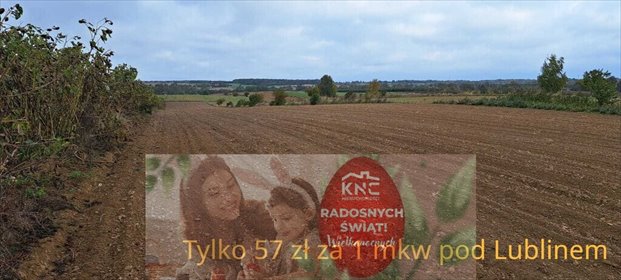 działka na sprzedaż 10477m2 działka Panieńszczyzna