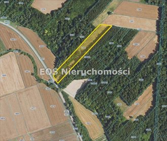 działka na sprzedaż 10290m2 działka Batorz Pierwszy