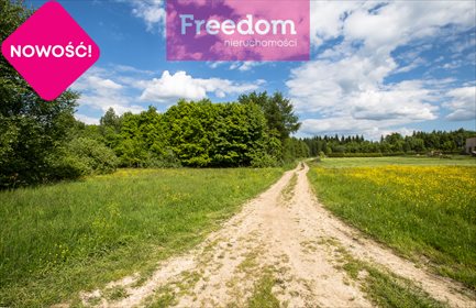 Działka rekreacyjna na sprzedaż Borownica 25 700m2 Foto 7