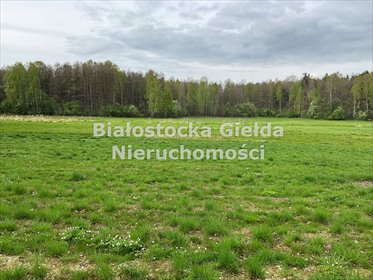 Działka budowlana 1000 m² w Pilikach – spokój i natura działka Piliki