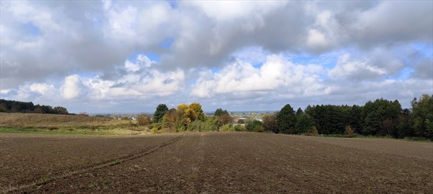 działka na sprzedaż 4189m2 działka Łańcut, Jana Cetnarskiego