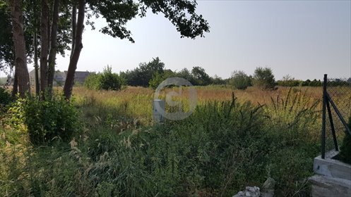 Działka 1900 m2 pod zabudowę w Maszewie – atrakcyjna oferta! działka Maszewo