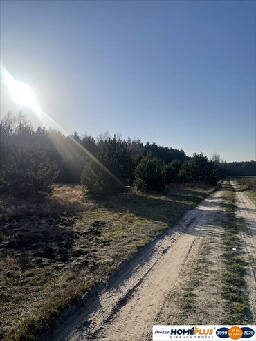 działka na sprzedaż 6241m2 działka Ruda