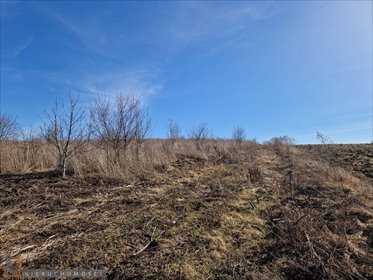 działka na sprzedaż 1200m2 działka Michałowice