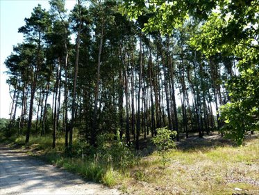 Działka budowlana 2371 m² w Jedwabnie, las, media blisko - polecam! działka Jedwabno