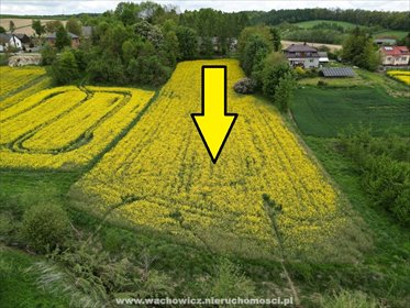 działka na sprzedaż 4700m2 działka Kalina Wielka