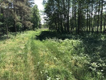 Zapraszam do zakupu 33,1 ha gruntów rolnych w Poźrzadle działka Poźrzadło, Poźrzadło