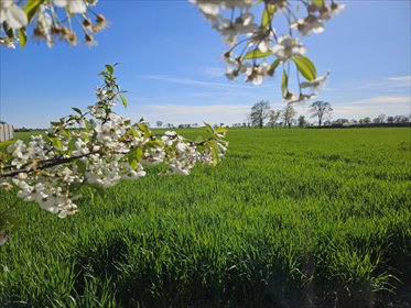 Działka budowlana 825 m² z mediami w Kokorzynie działka Kokorzyn