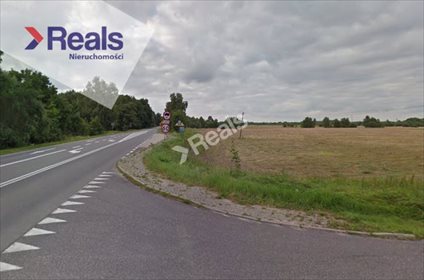 Działka rolna na sprzedaż Dąbrówka 13 800m2 Foto 2