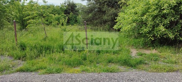 działka na sprzedaż 1650m2 działka Rusiec