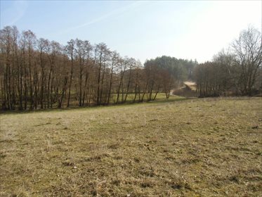 Działka budowlana na sprzedaż Kosowo 1 000m2 Foto 5